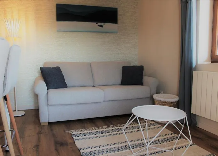 T2 Meuble De 40M2 Axe Annecy/Geneve