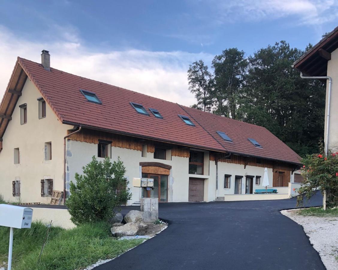 T2 Meuble De 40m2 Axe Annecy/geneve Saint-Martin-Bellevue